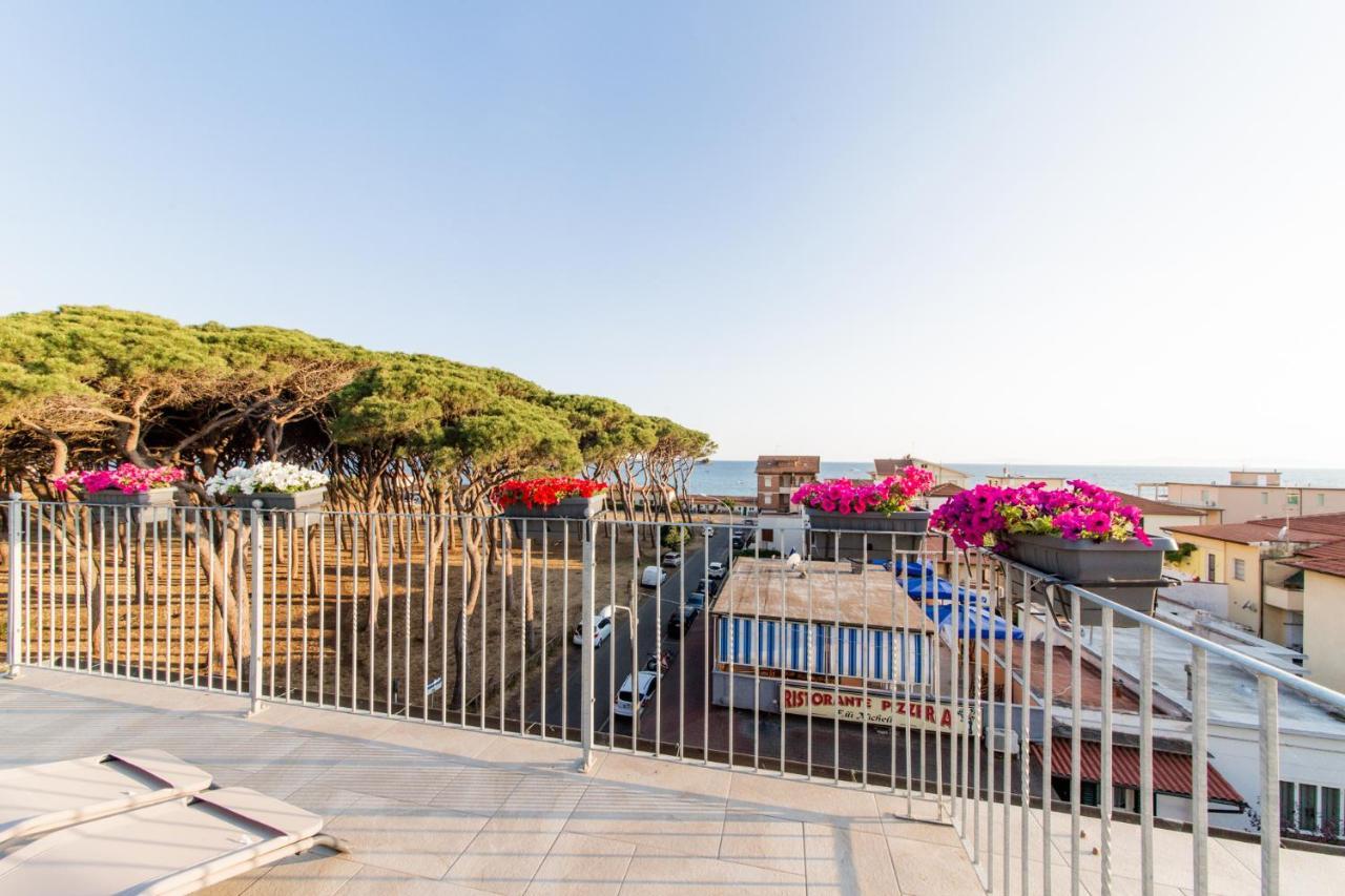 Junior Suite Terrace