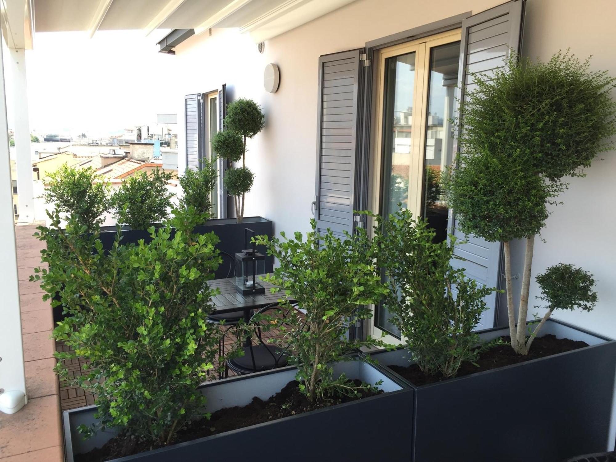 Superior Double Room Terrace,1215889813:JPEG