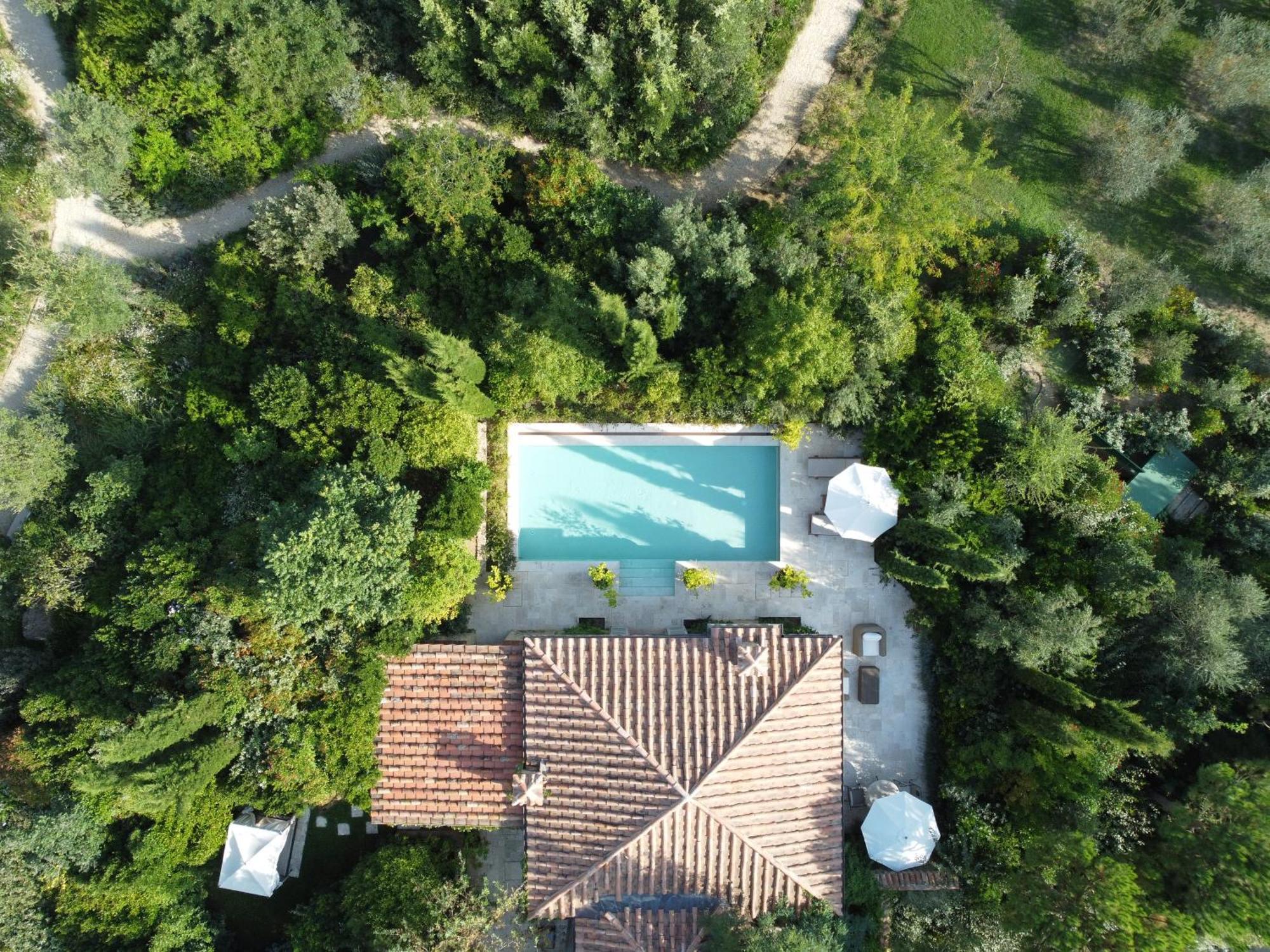 Suite Garden View