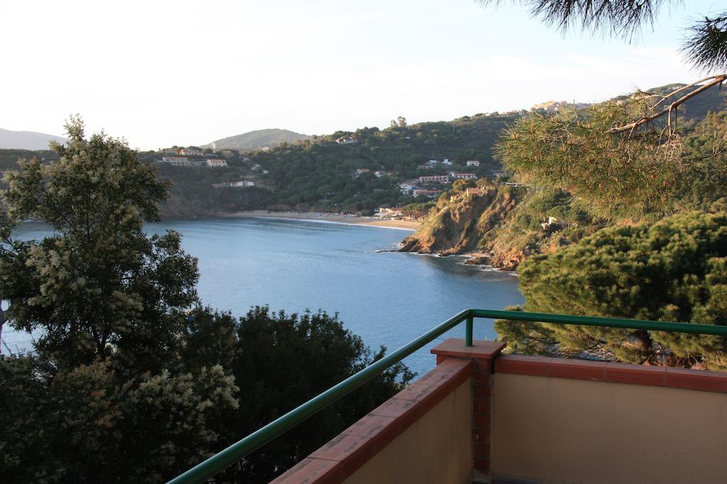 Apartment Terrace