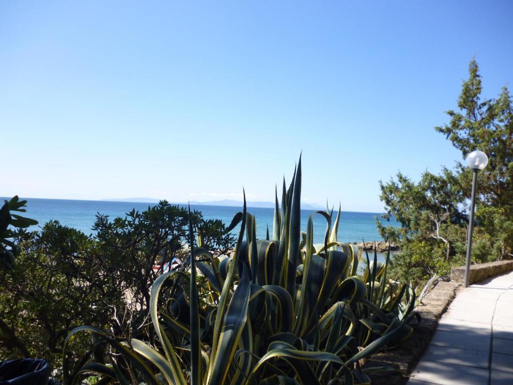 Two-Bedroom Apartment Sea View