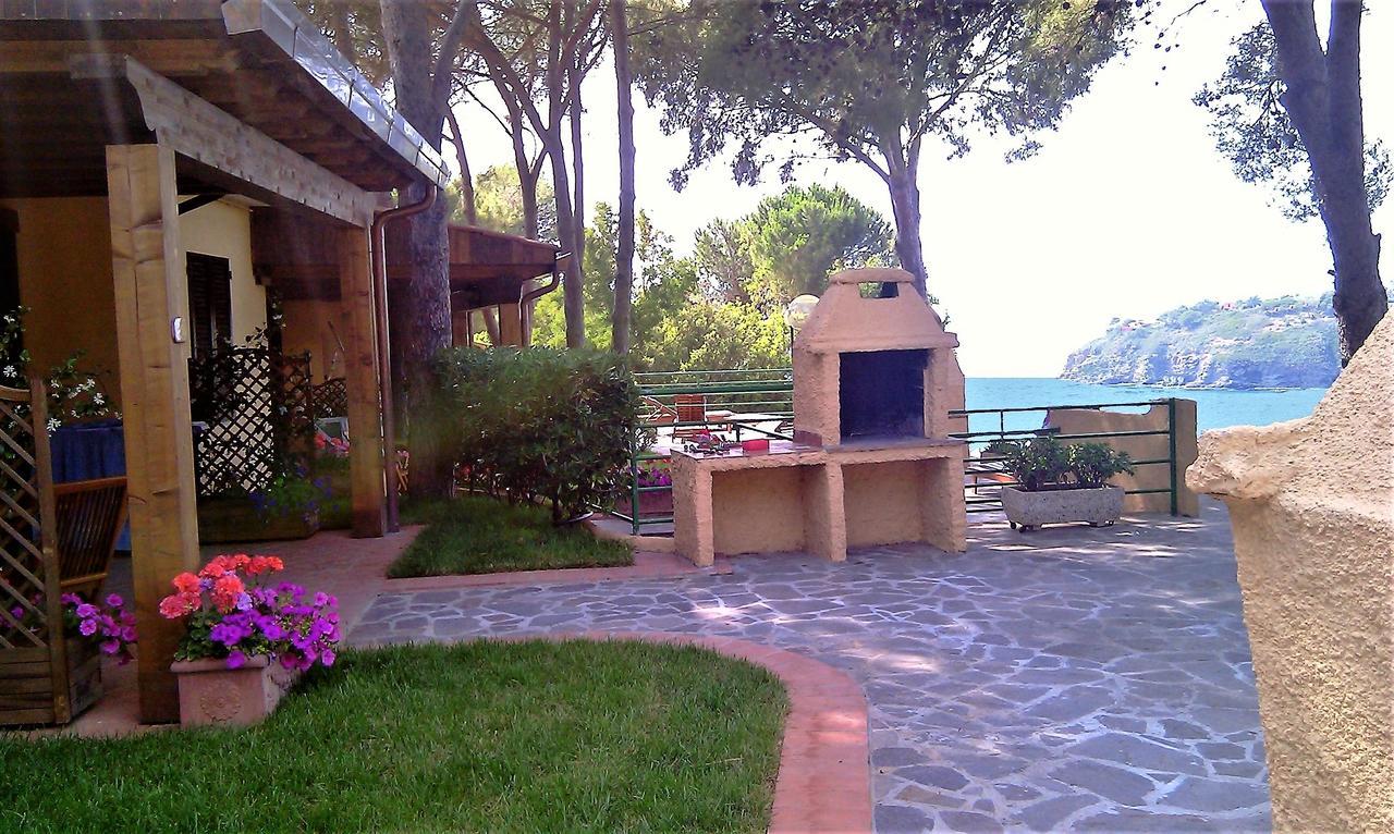 Apartment Terrace