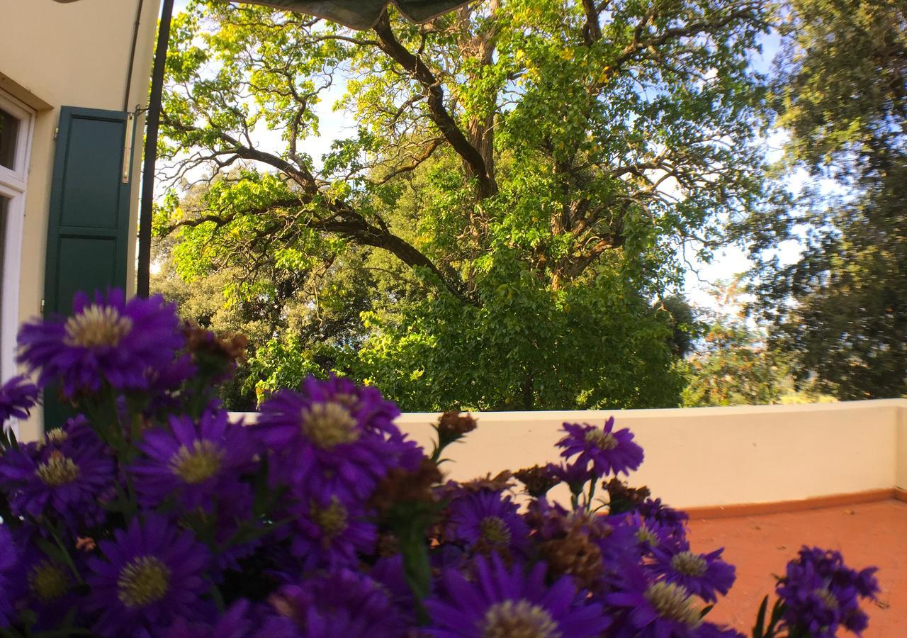 Double Room Terrace