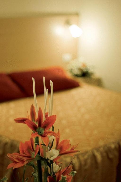 Large Single Room,917080561:JPEG