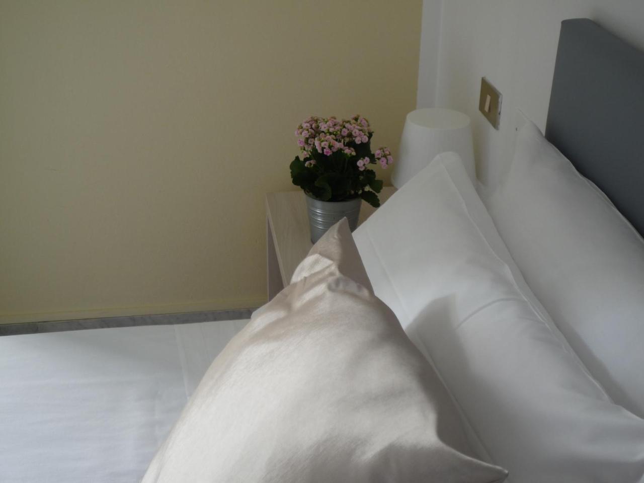 Double or Twin Room Mountain View
