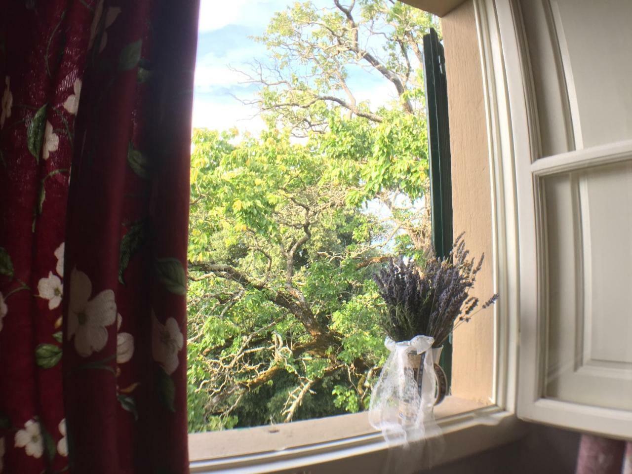 Double Room Private External Bathroom