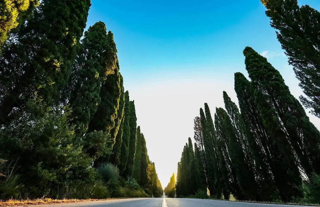 Relais Felciaino B&B-1