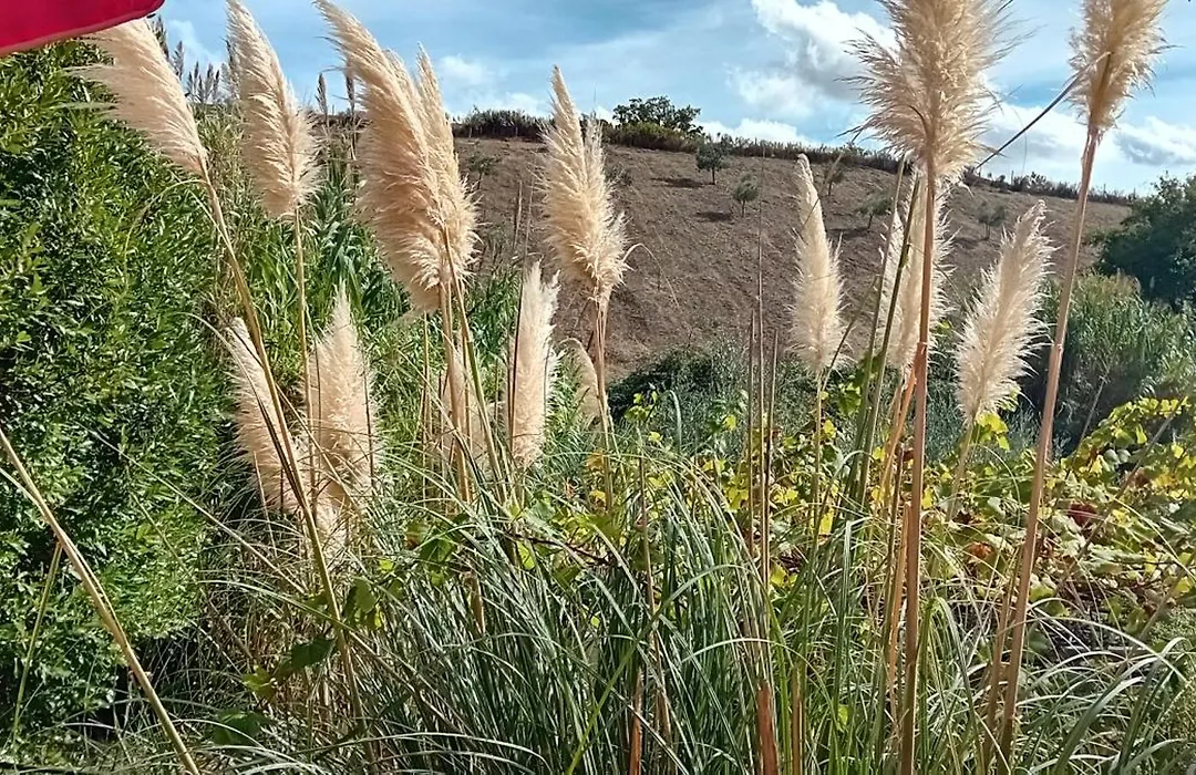 L'Angolino, Casale Vita Nova-1