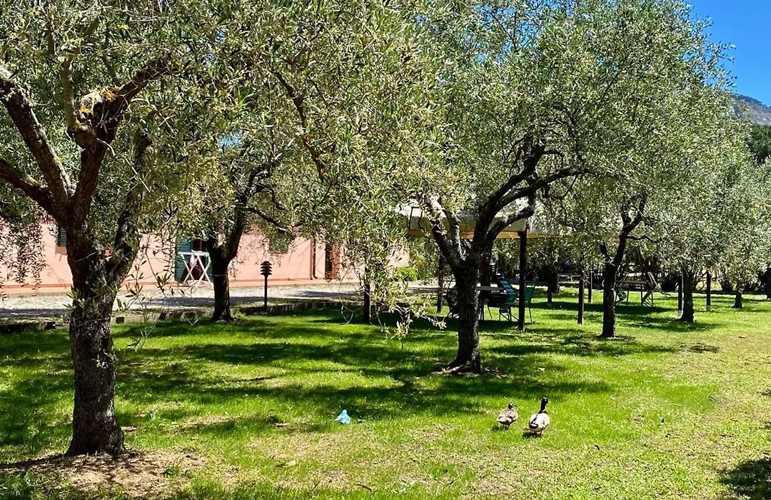 Residence Terme Isola D'Elba Srl-1