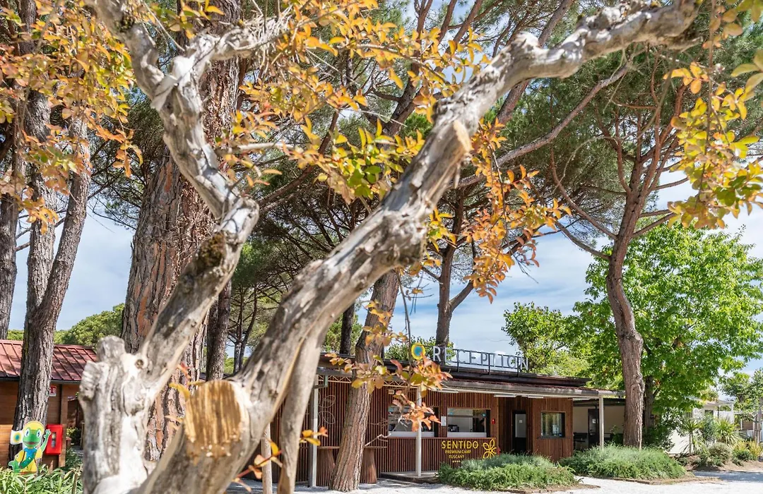 Club Del Sole Viareggio Family Collection-1