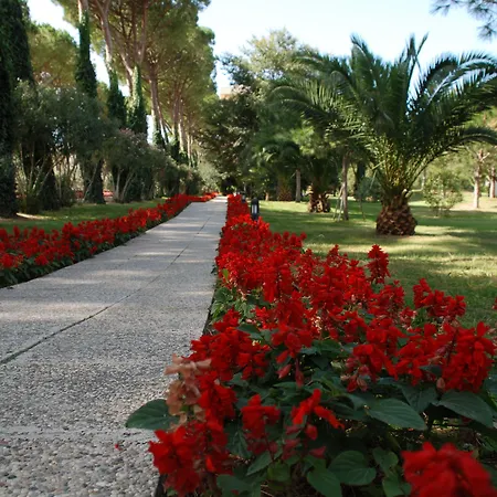 Park Hotel Marinetta - Beach & Spa-3