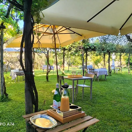Badia Giulia Prestigious Historical B&B, Camaiore - Adults Only - No Pets-3