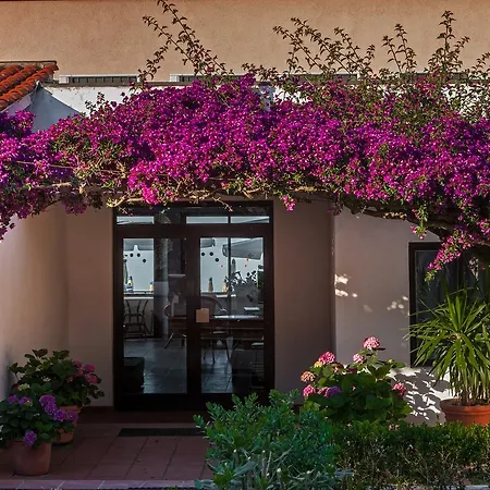 Drago Residence-3