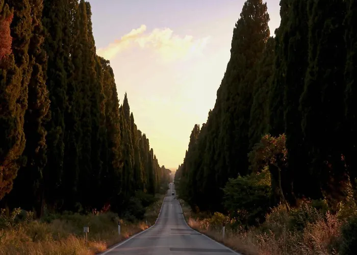 Relais Felciaino B&B Bolgheri