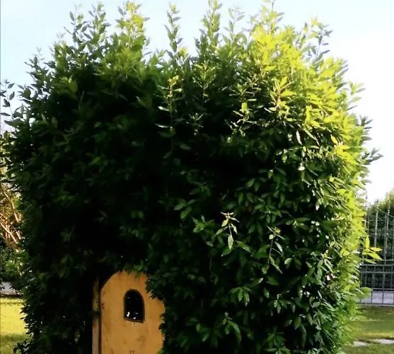 Villa Oasi San Giuliano Terme