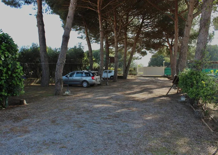 Il Picchio Verde Albinia