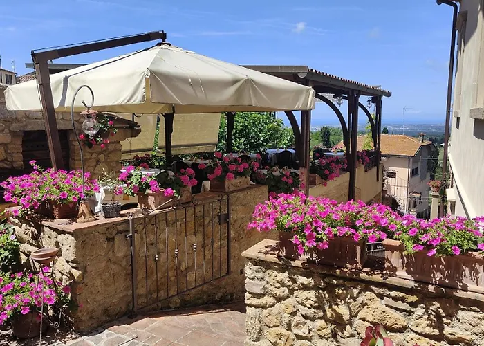 Il Sogno Del Pinzagrilli