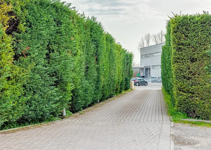 Molo 73