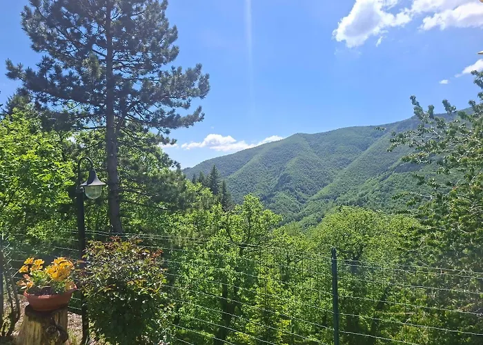 Albergo Ristorante La Selva