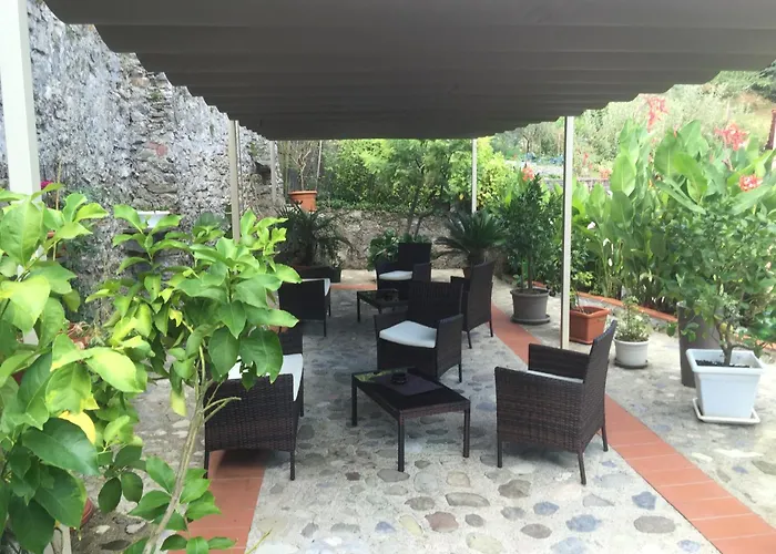 B&B Puccini