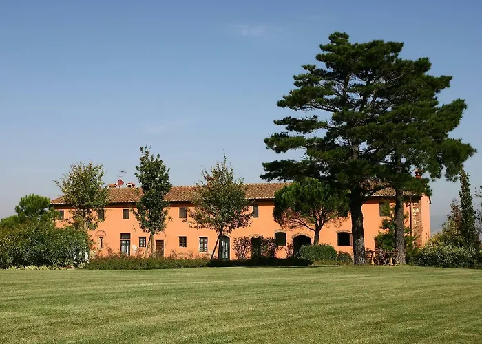 La Magnifica B&B Fauglia